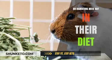 Hay in Hamster Diet: Essential or Not?