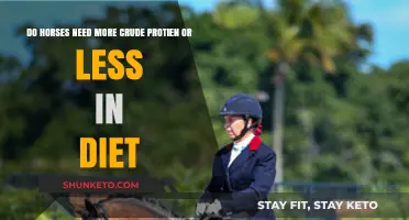 Horse Diets: Crude Protein Content