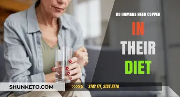 Copper: Essential Mineral for Human Health?
