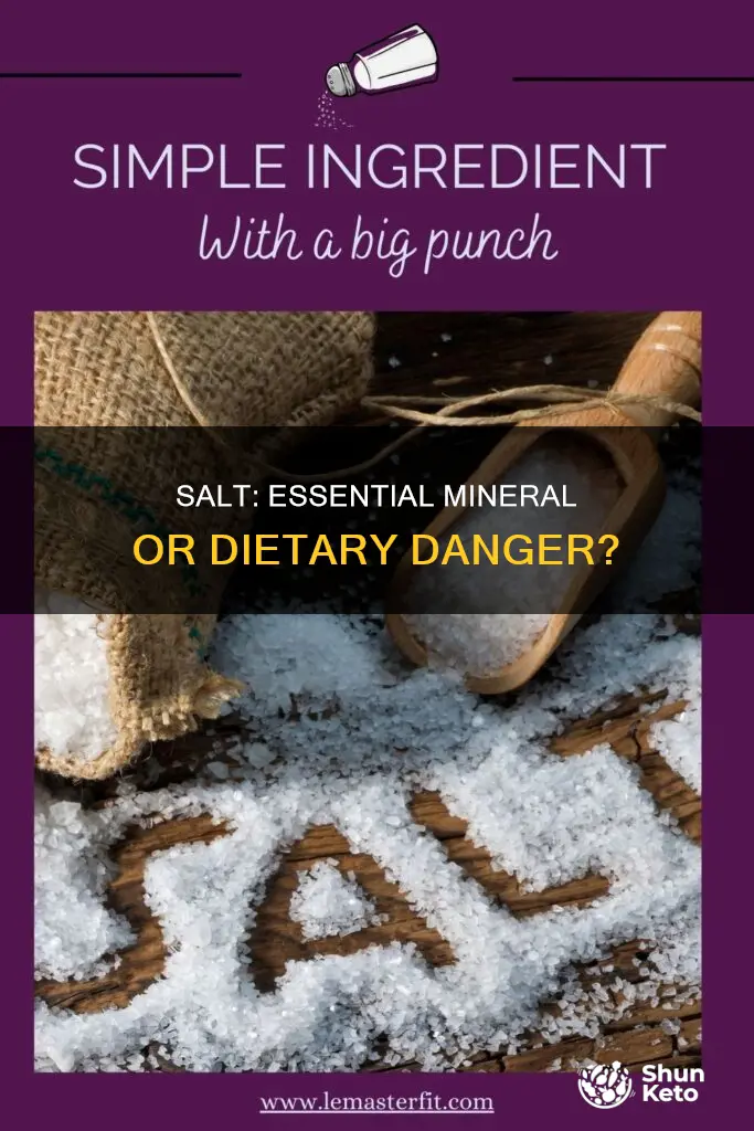 do humans need salt in their diet