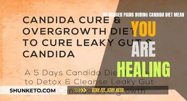 Hunger Pains on the Candida Diet: A Sign of Healing or Something Else?