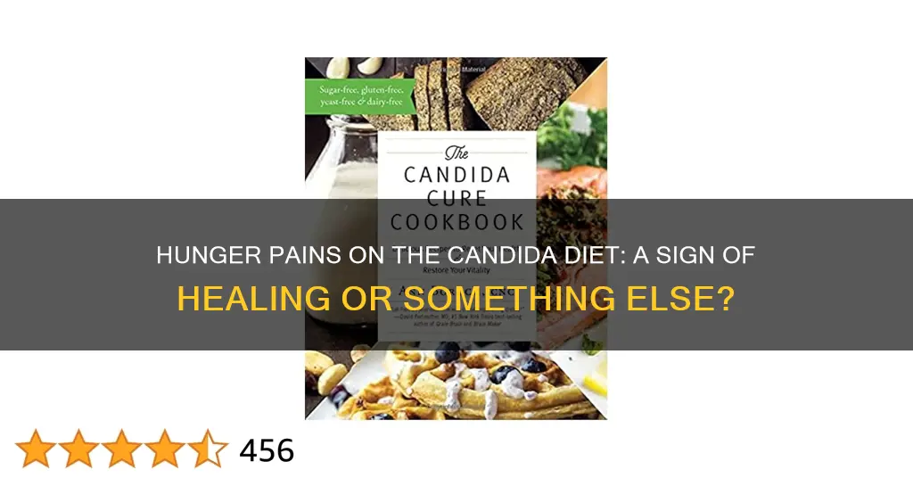 do hunger pains during candida diet mean you are healing