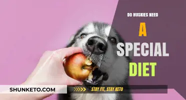 Huskies' Diet: What's Special About It?