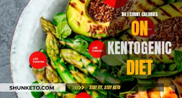 Calorie Counting on a Ketogenic Diet: Is It Necessary?