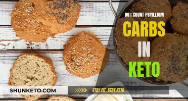 Psyillium Carb Counting: A Guide for Keto Dieters