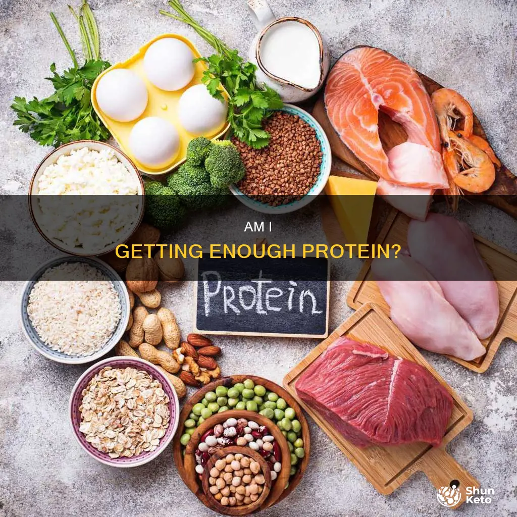 do i have enough protein in my diet