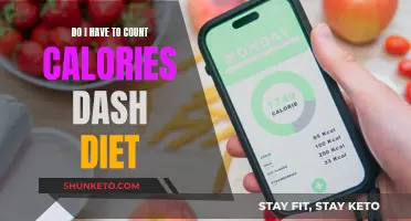 Dash Diet: Calorie Counting Simplified