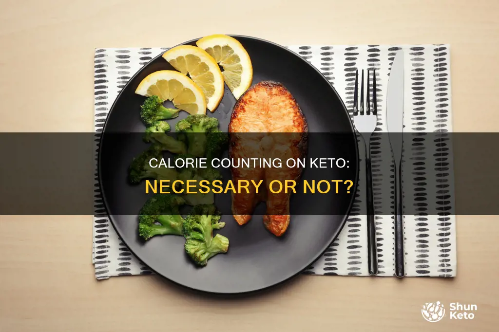 do i have to count calories on ketogenic diet