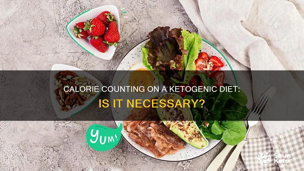 do i have to count calories on ketogenic diet