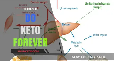 Keto Forever? Understanding Long-Term Commitment vs. Temporary Lifestyle