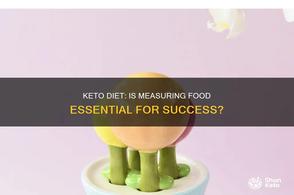 do i have to measure food on keto diet