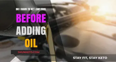 Should You Let Your Car Cool Before Adding Oil? Expert Tips