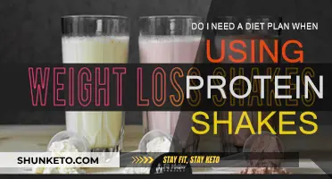 Protein Shakes: Diet Plan or No?