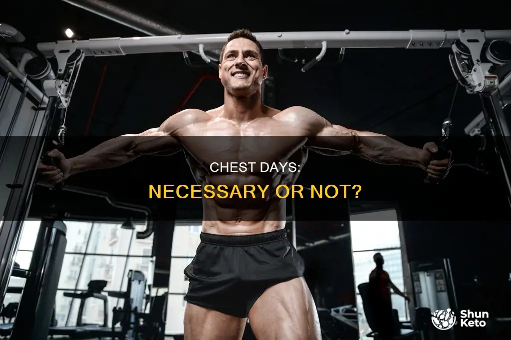 do i need chest days in my diet