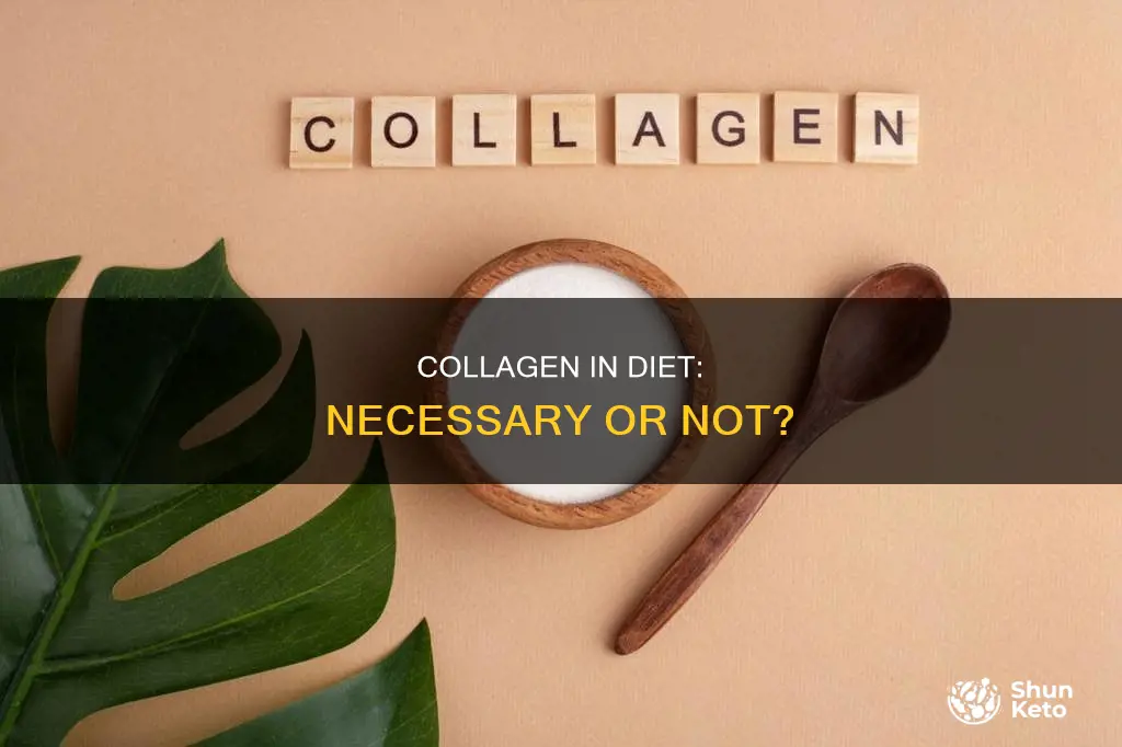 do i need collagen in diet