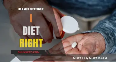 Creatine and Diet: Is It Necessary?