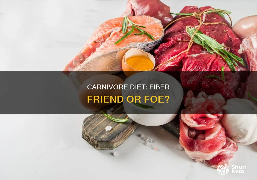 do i need fiber on carnivore diet