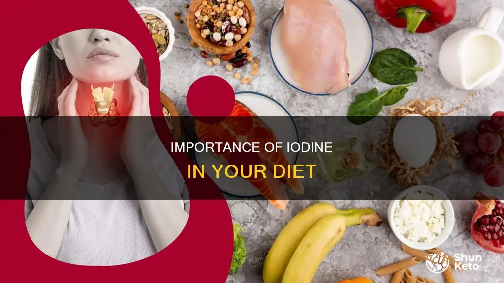 do i need idonine on my diet