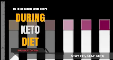 Ketone Urine Strips: Essential or Optional for Your Keto Journey?