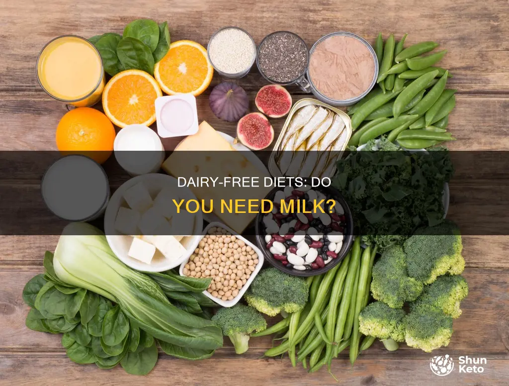 do i need milk in my diet