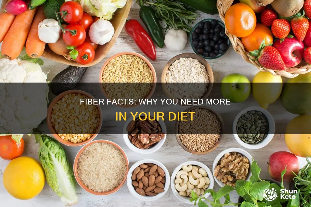 do i need more fiber in my diet