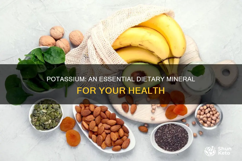 do i need potassium in my diet