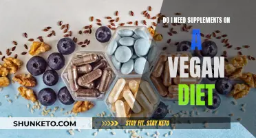 Vegan Diets: Do Supplements Fill Nutritional Gaps?