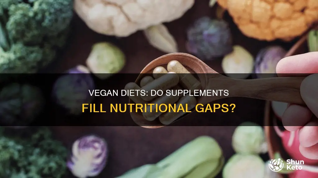 do i need supplements on a vegan diet