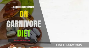 Supplements on Carnivore Diet: Are They Necessary?