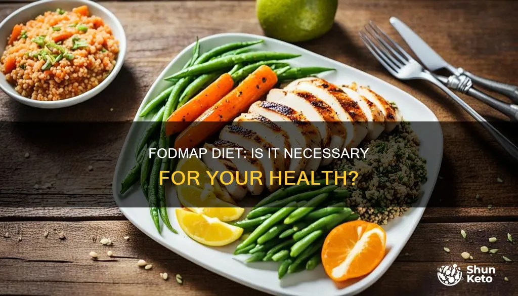 do i need the fodmap diet