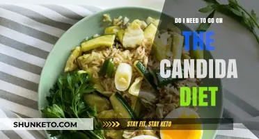 The Candida Diet: Is It Necessary?