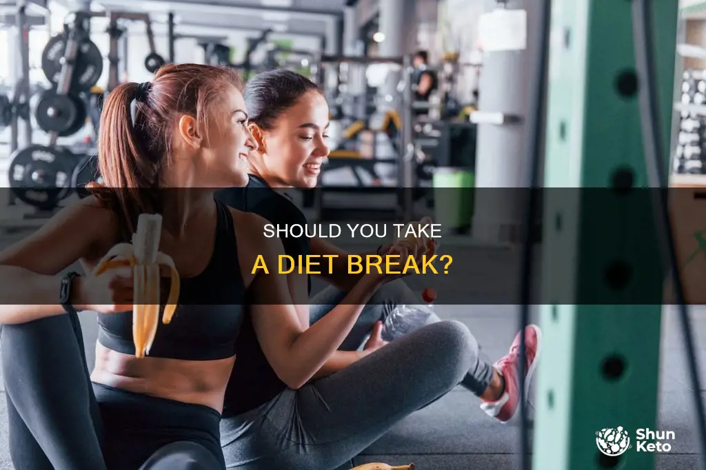 do i need to take a diet break