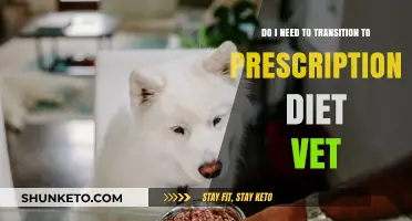 Prescription Diet: Should You Transition to Vet-Recommended Food?