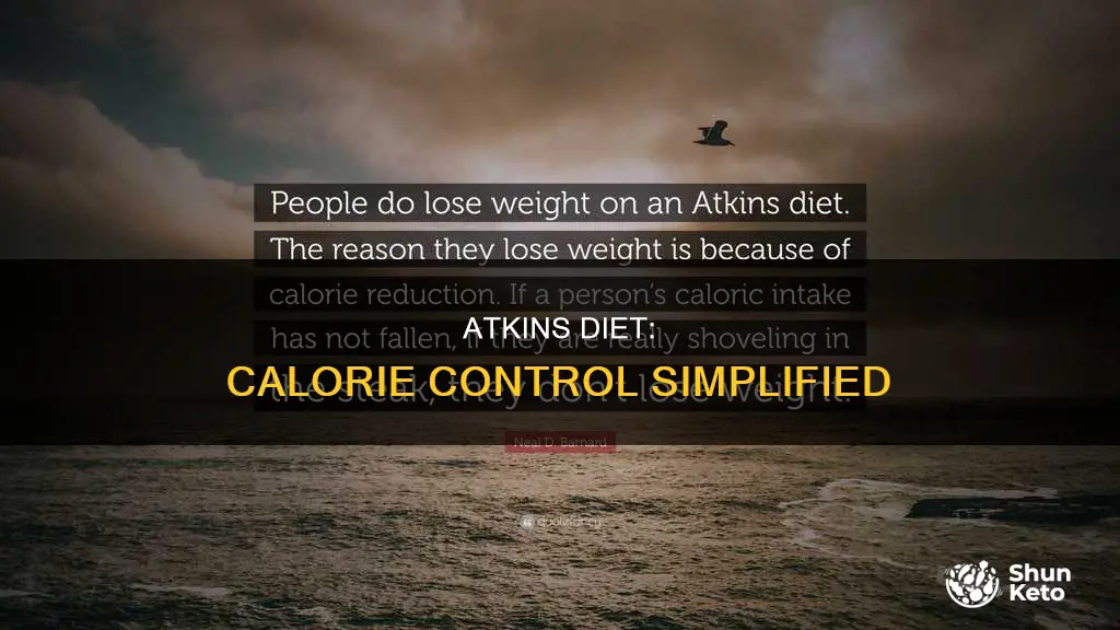 do i need to watch calories on the atkins diet