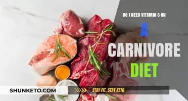 Vitamin C on Carnivore Diet: Do You Need It?