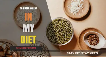 Wheat in Diet: Essential or Avoidable?