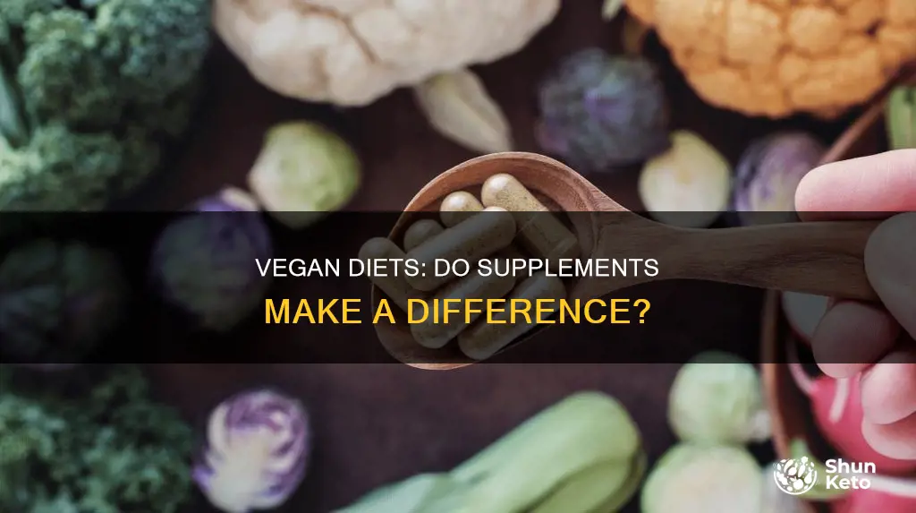 do i really need ro supplement on a vegan diet