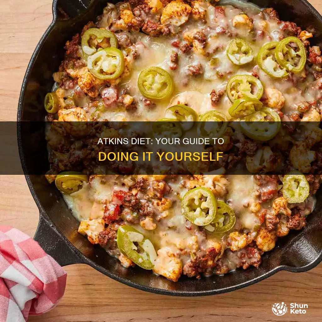 do it yourself atkins diet