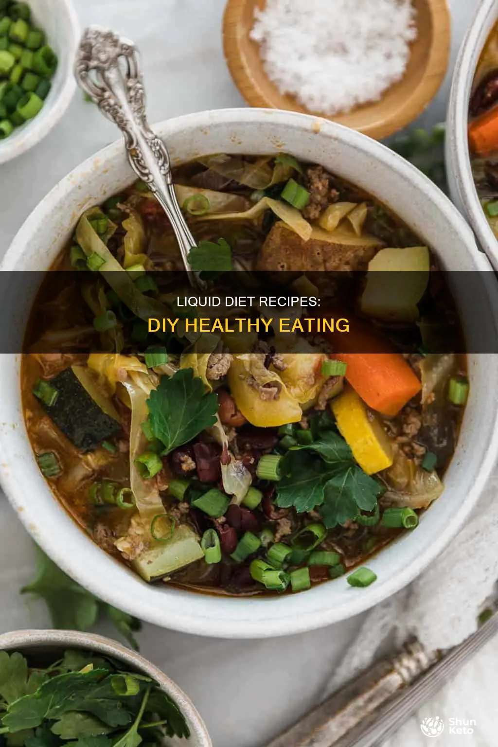 do it yourself liquid diet recipes