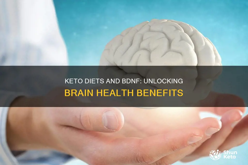 do keto diets increase bdnf