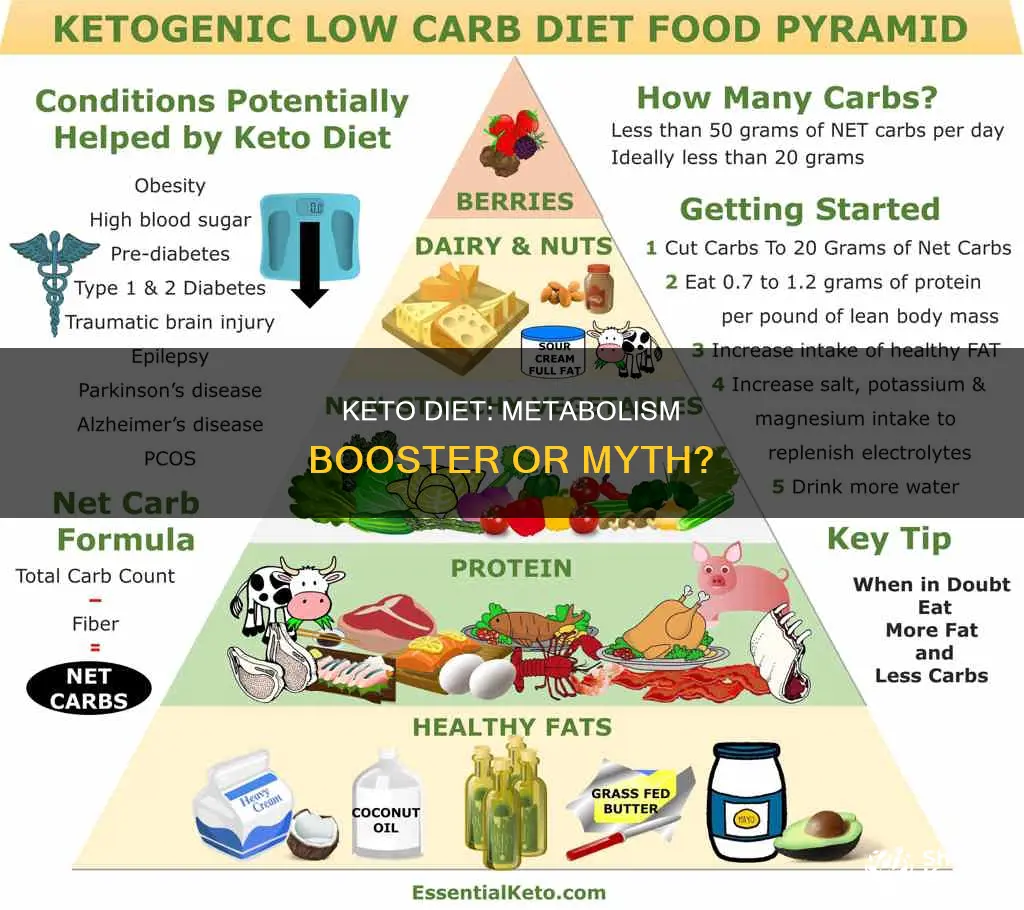 do keto meals cause your metabolism to increase