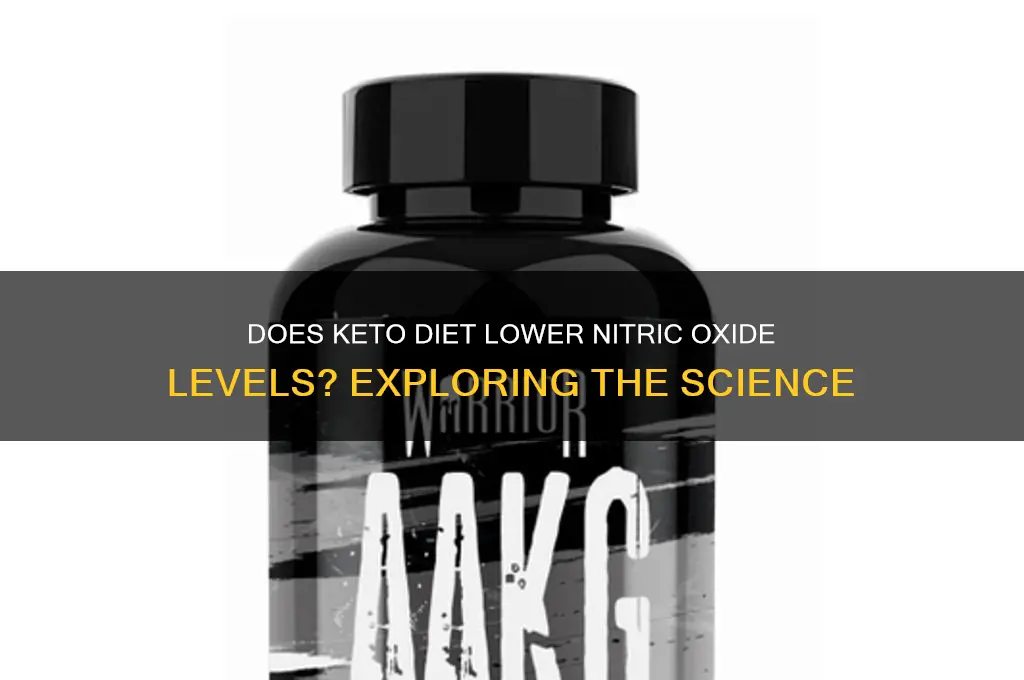 do keto reduce nitric oxide