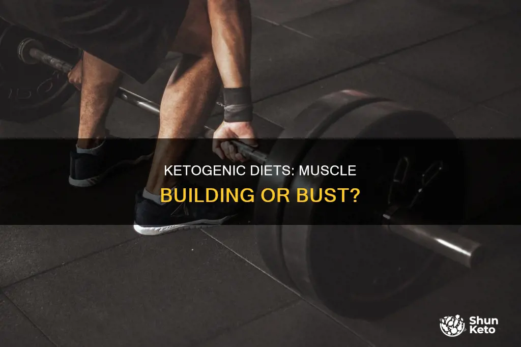do ketogenic diets build muscle