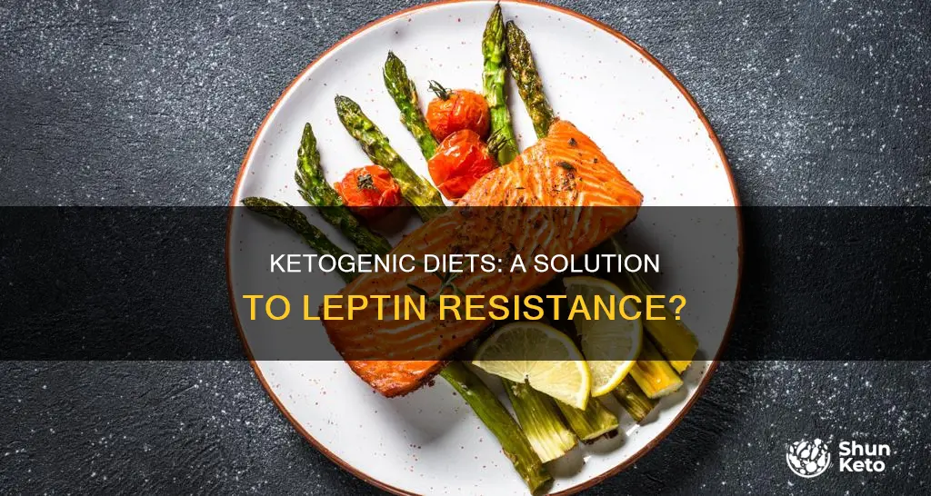 do ketogenic diets help leptin reistance