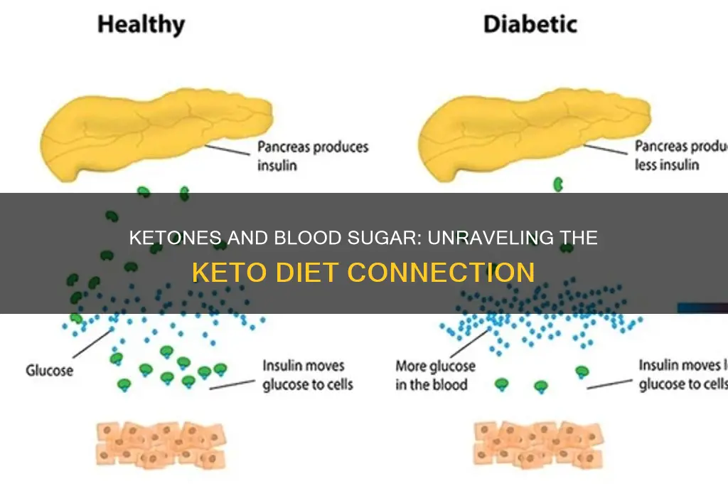 do ketones affect blood sugar keto diet