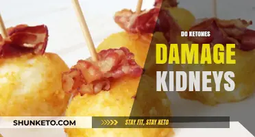 Ketones and Kidney Health: Debunking Myths and Understanding Risks