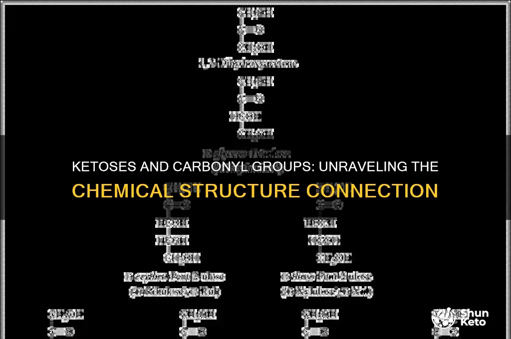 do ketoses have a carbonyl group
