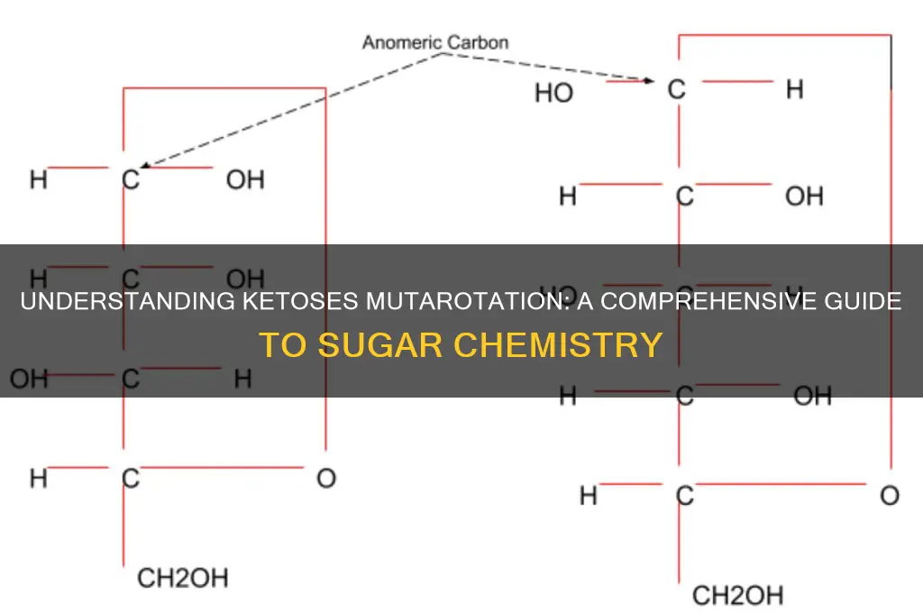 do ketoses mutarotate