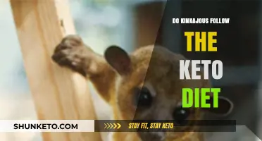 Kinkajous and Keto: Unraveling Their Natural Dietary Habits
