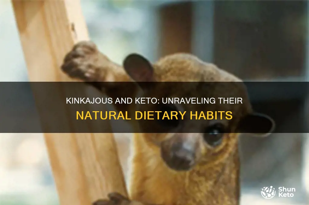 do kinkajous follow the keto diet